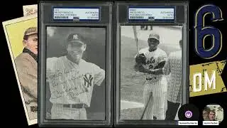 Skunk Protection for 1955 Topps Break #8