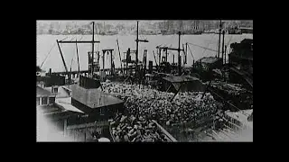 The History of the Brooklyn Bridge documentary