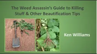 The Weed Assassin's Guide to Killing Stuff and Other Beautification Tips