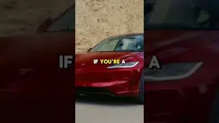 Tesla Under the Microscope