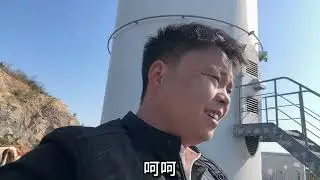 试着把牛赶到上山慢慢适应，一头小牛跟错了牛群，还好发现早。 #农村养牛人记录农村生活 #三农 #生态散养 #养牛人加油