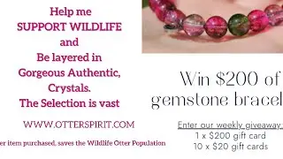 WIN CRYSTALS- And, Preserve wildlife with me. OTTER SPIRIT. 🦦 Otters represent JOY! #crystals