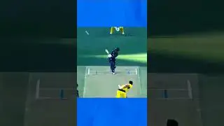 wait for Michelle starc#cricket #jaidmeel #shortsfeed