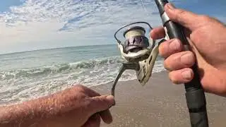 Big Sheepshead & Pompano