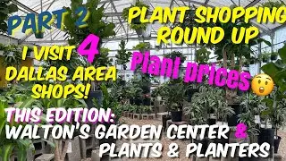 172: Plant Shopping Weekend Roundup! Part 2 | DFW Metro Plant Nurseries | Price $ Hike Rant Included