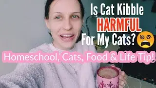 Homeschool Day In The Life Vlog // Mom of 3 // Winter, Cat Facts, Food