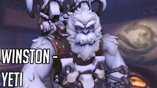 Winston 