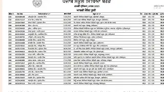 Pseb 10th class Result march 2025 out|District wise Merit list|