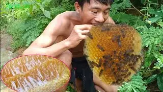 Primitive Technology: Amazing Find Giant HoneyBee For Food In The Mountain Forest  By Chi kha kh