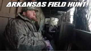 Arkansas Duck Hunting is a Fever Dream