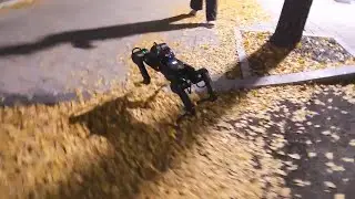 [RL] MiniPongBot's short Walk