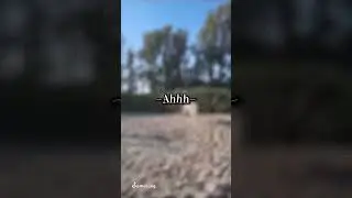 xoomerang