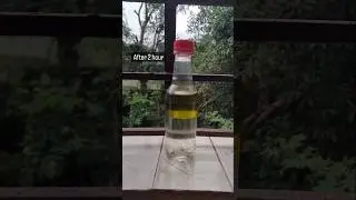 kerosene oil||# +water||#|#+cooking oil##|| science experiment shorts||##experiment reels in home