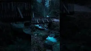 Nature of Night 🌿 #nature #darkaesthetic #calm #foryou #beautifulnature #beauty