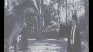 Harry Potter - Believe