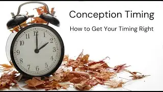 Conception Timing; How To Get Your Timing Right