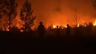 Firefighters battle wildfires in central Portugal