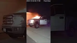 Truck Catches Fire Dogs Escape Seconds Before Massive Explosion #fire #explosion #dog #viral