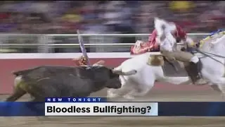 Spears Found At Bullfight Near Turlock Prompt Investigation