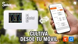 Cómo CONTROLAR tu CULTIVO desde el MÓVIL | Conecta el Master Controller de Solux con su APP (FÁCIL)