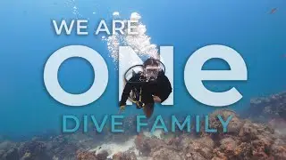One Dive Family - Join Us