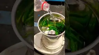 🌶️🫑green chilli on mixer grinder jar blade test #shorts #short
