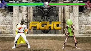 Adult Swim Video Game / UE5.3 Fighting Games Template
