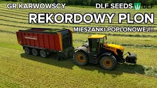 REKORD POLSKI POBITY! Największy plon zielonki #DLF MIESZANKA LANDSBERSKA #GR KARWOWSCY #AGRIHANDLER