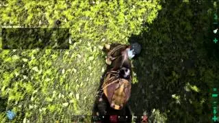 Severity Gaming - Frostfall - Ark Survival Evolved Review