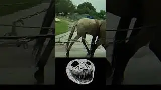 Когда увидел цены на бензин 💀 #edits #trolledit #trollface #fypp #прикол