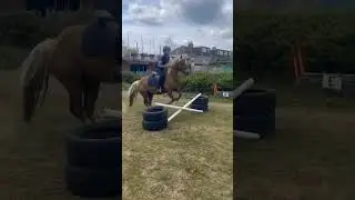 He had just bolted and refused so I trotted it once. I cantered the rest of the jumps tho