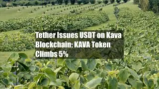 Tether Issues USDT on Kava Blockchain; KAVA Token Climbs 5%