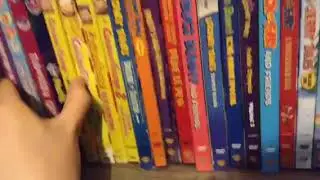 Overview of My Entire VHS/DVD/Blu-ray/Video Game Collection (2019 Edition)