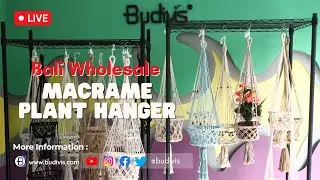 Macrame Plant Hanger