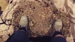 Forest Footsteps