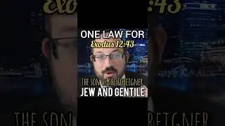 One Law for Jew and Gentile? | #shorts | Rabbi Rafi Mollot | Everybody's Rebbi