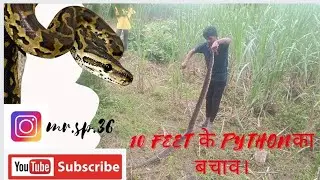 rescue snake //rescue snake vedio // rescue snake team // snake // snake vedio // python snake