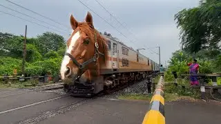 Dangerous Horse Headed Balurghat Express Furious Moving Throughout at Railgate 