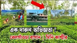 চট্টগ্রামের লুকানো সৌন্দর্য! বাঁশখালী চা বাগান || চট্টগ্রাম।। 