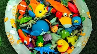 Sea Animals Learning for Kids | Exciting Toy Ocean Creatures Play & Learning Adventure