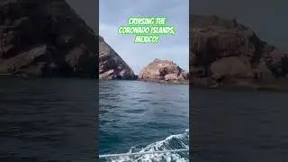 Hunting for yellowtail in Mexico!