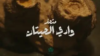 Eco-Iaru | متحف وادي الحيتان