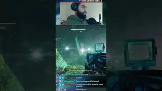 ⚠️ You Won&rsquo;t Believe What This Bird Did 😳 #Destiny2