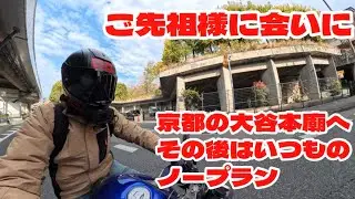 【モトブログ】休みボケも解消しなくては…#モトブログ #ホーネット250 #リターンライダー 