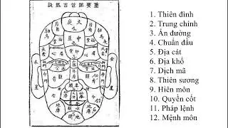 LUẬN VỀ TRÁN VÀ ĐẦU
