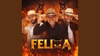FELINA