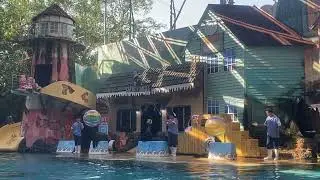 Sea Lion Show Safari World Bangkok Thailand