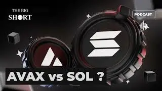 AVAX v&agrave; SOL: Đ&acirc;u l&agrave; coin tiềm năng hơn X10?