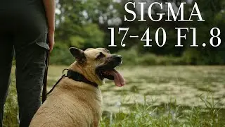 Sigma 17-40 F1.8 + Sony FX30 Cinematic / Zhiyun Weebill-s 