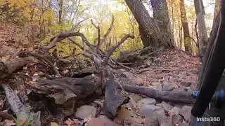 Hard single track trail in Utah on a Honda trail 125.